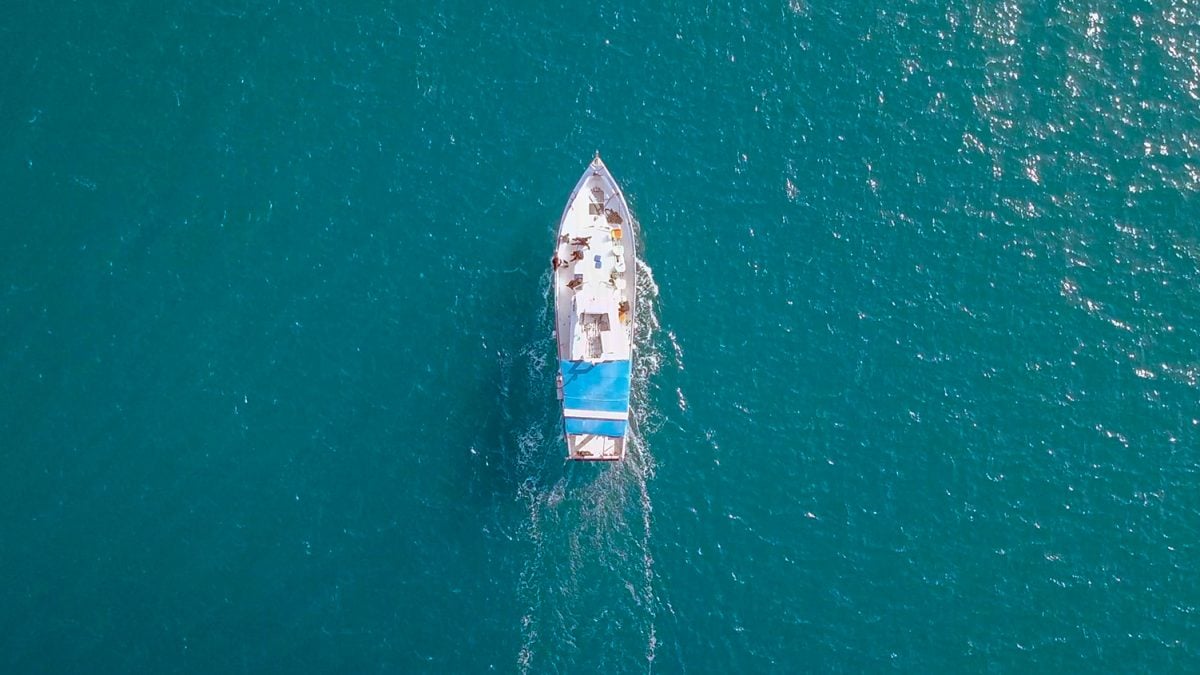 Buying a fishing licence in Queensland