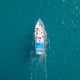 Buying a fishing licence in Queensland