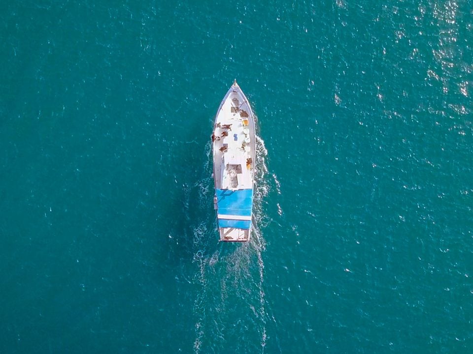 Buying a fishing licence in Queensland